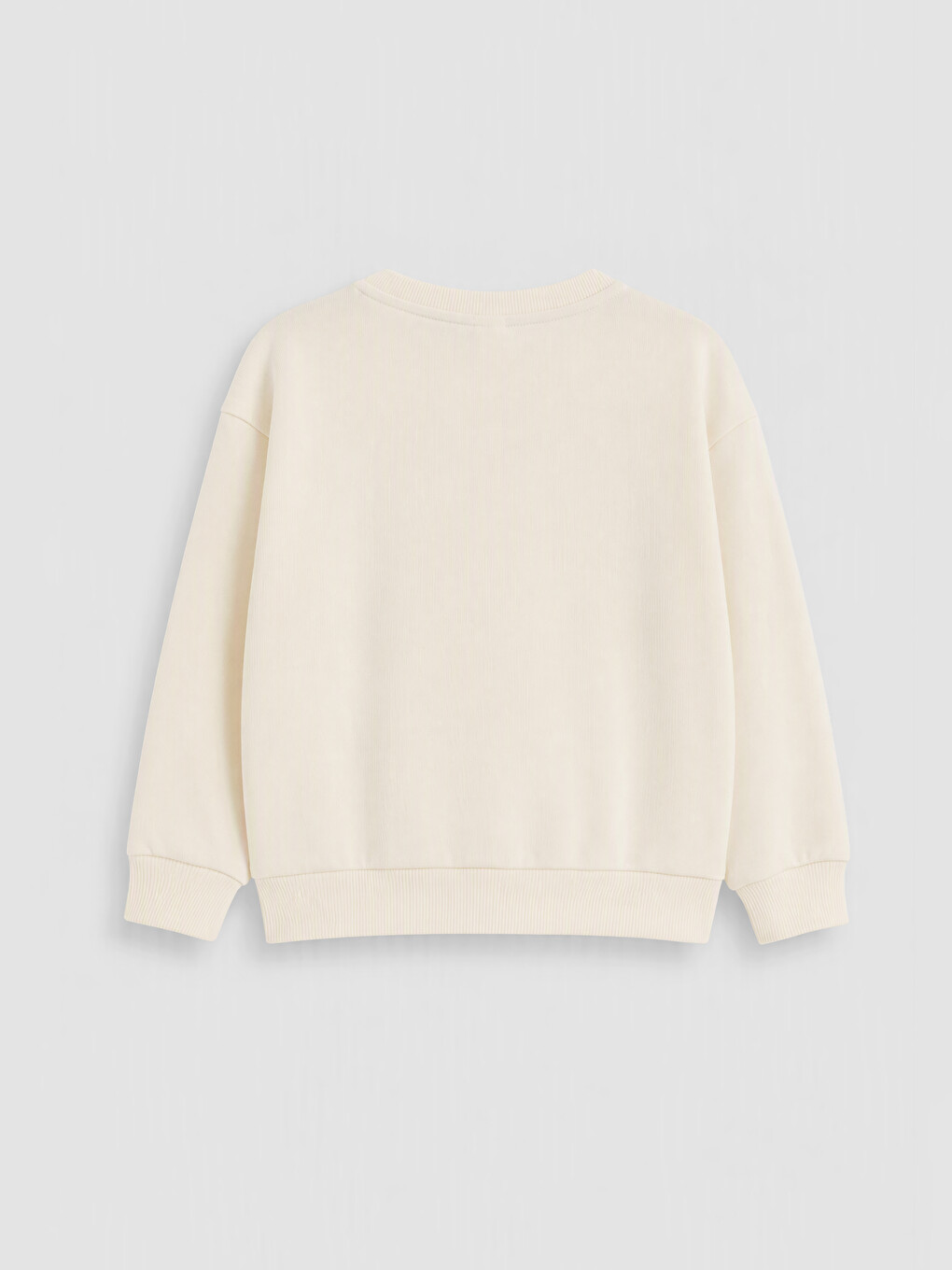Embroidered Boys' Sweatshirt-1