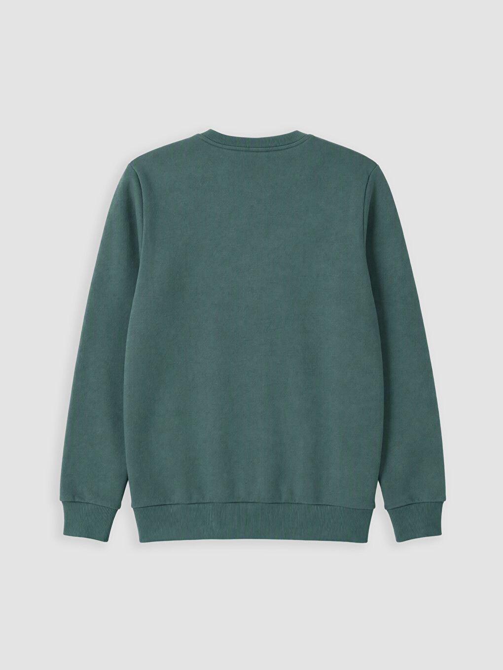 Yeşil Bisiklet Yaka Baskılı Erkek Kalın Sweatshirt-2