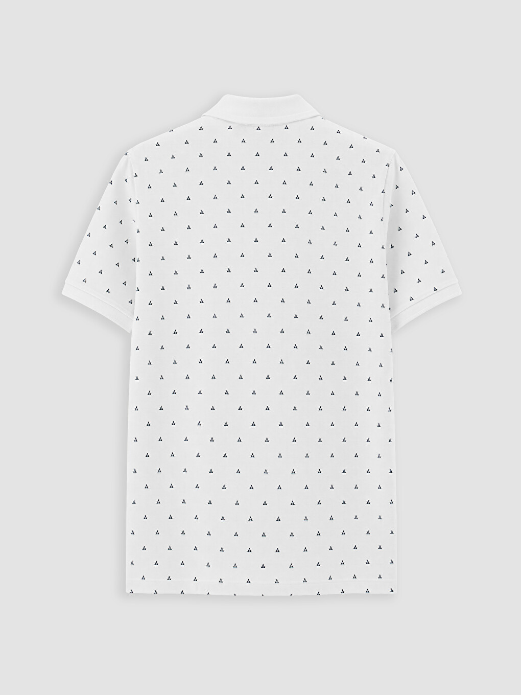 Standard Fit Polo Collar Printed Pique Men's T-shirt-5