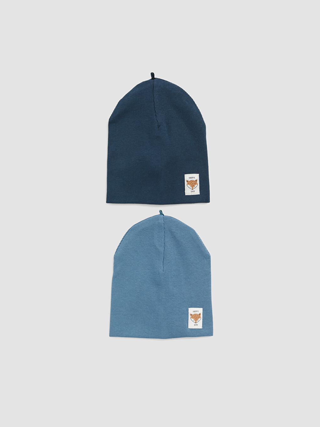 Embroidered Baby Boys' Beanie