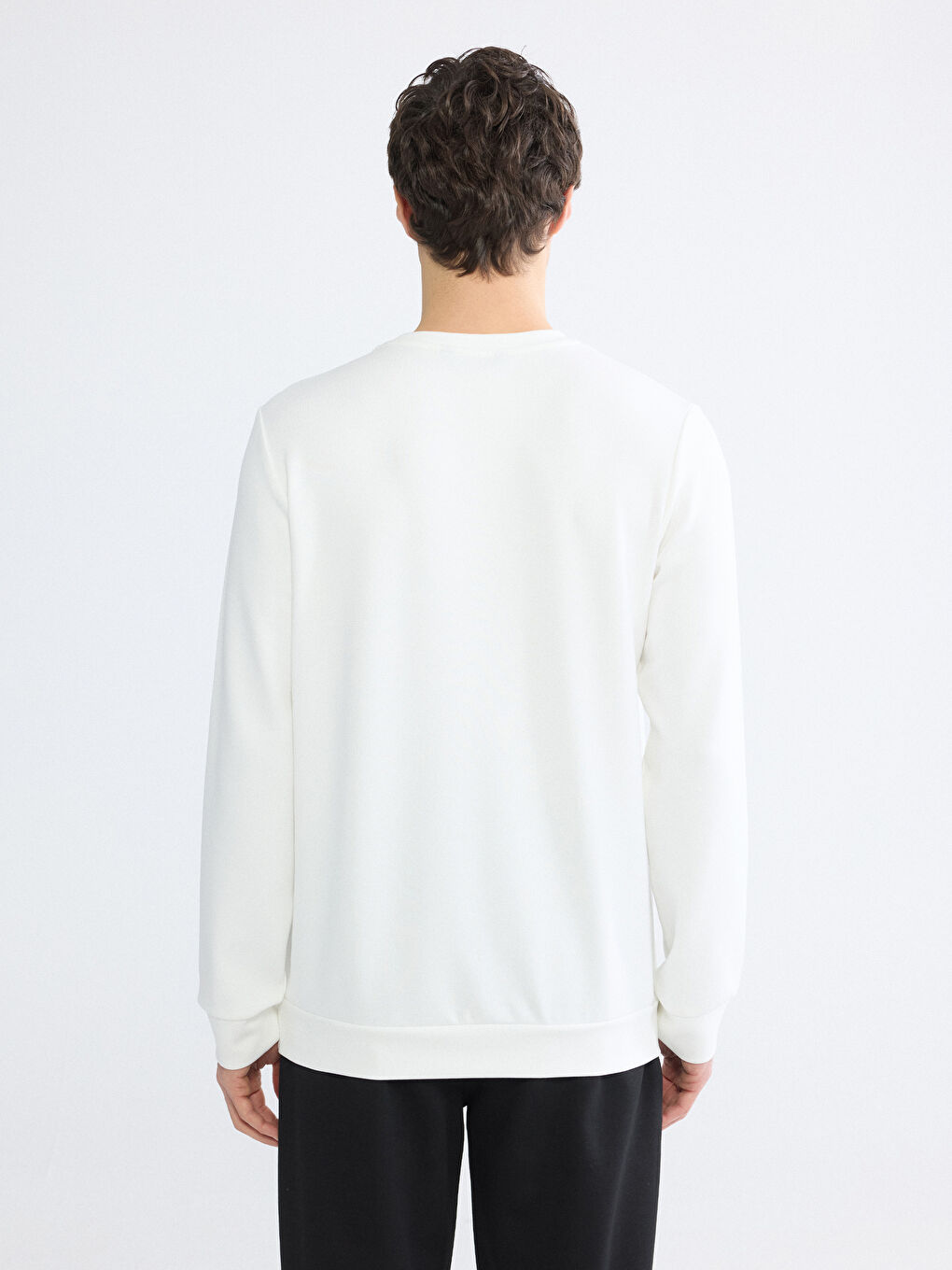 Ekru Bisiklet Yaka Nakışlı Erkek Sweatshirt-3