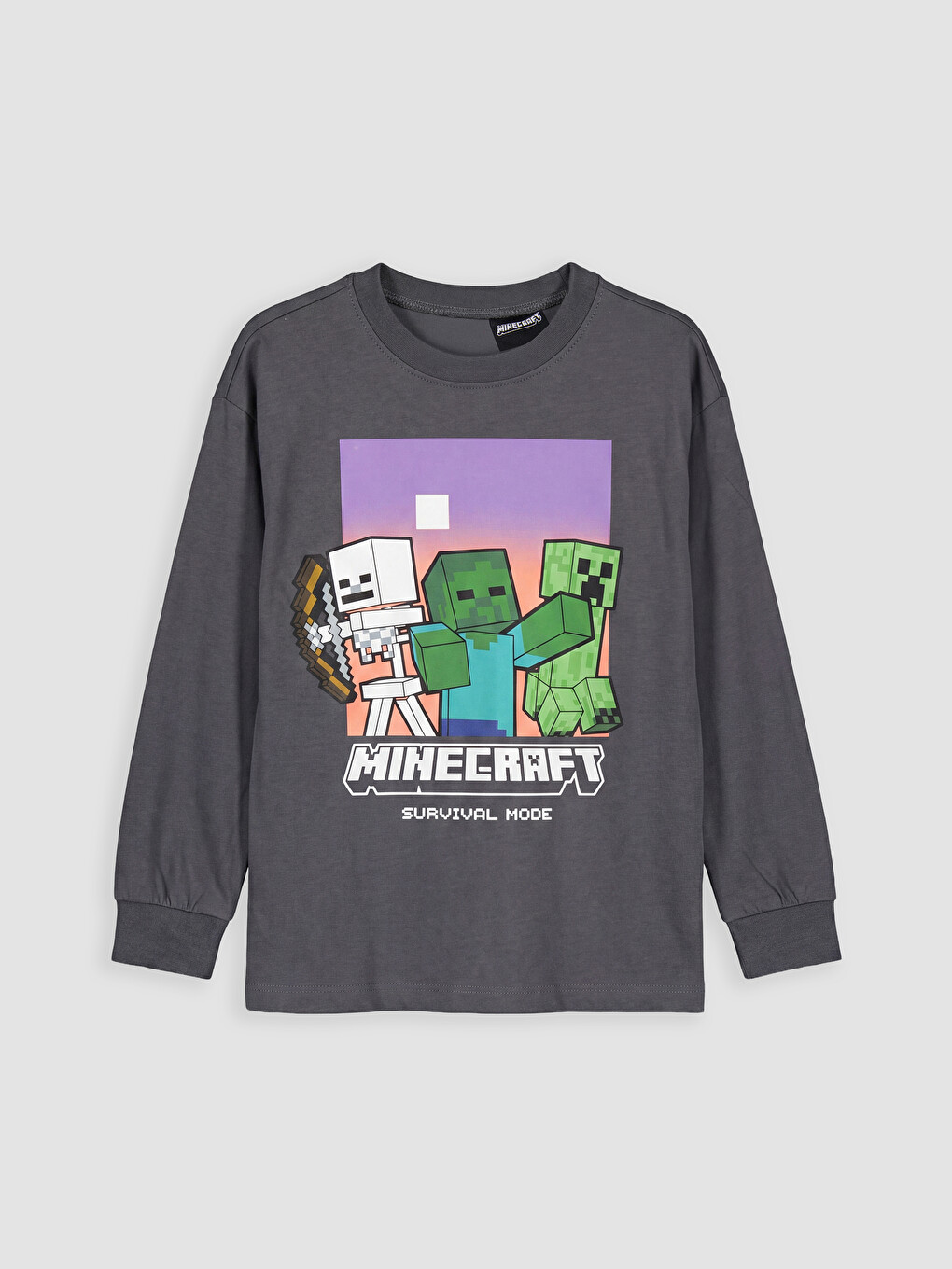Antrasit Bisiklet Yaka Minecraft Baskılı Erkek Çocuk Tişört