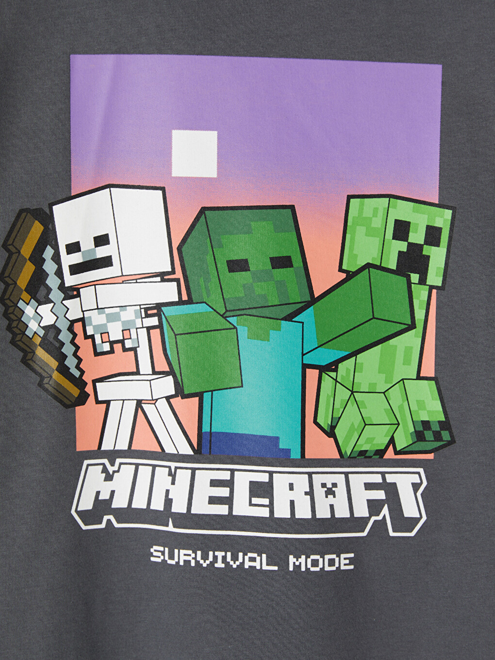 Antrasit Bisiklet Yaka Minecraft Baskılı Erkek Çocuk Tişört-1