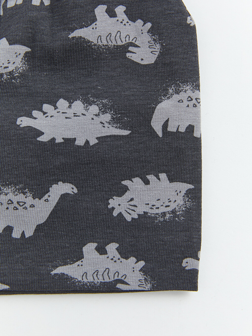 Dinosaur Printed Baby Boys' Beanie-1