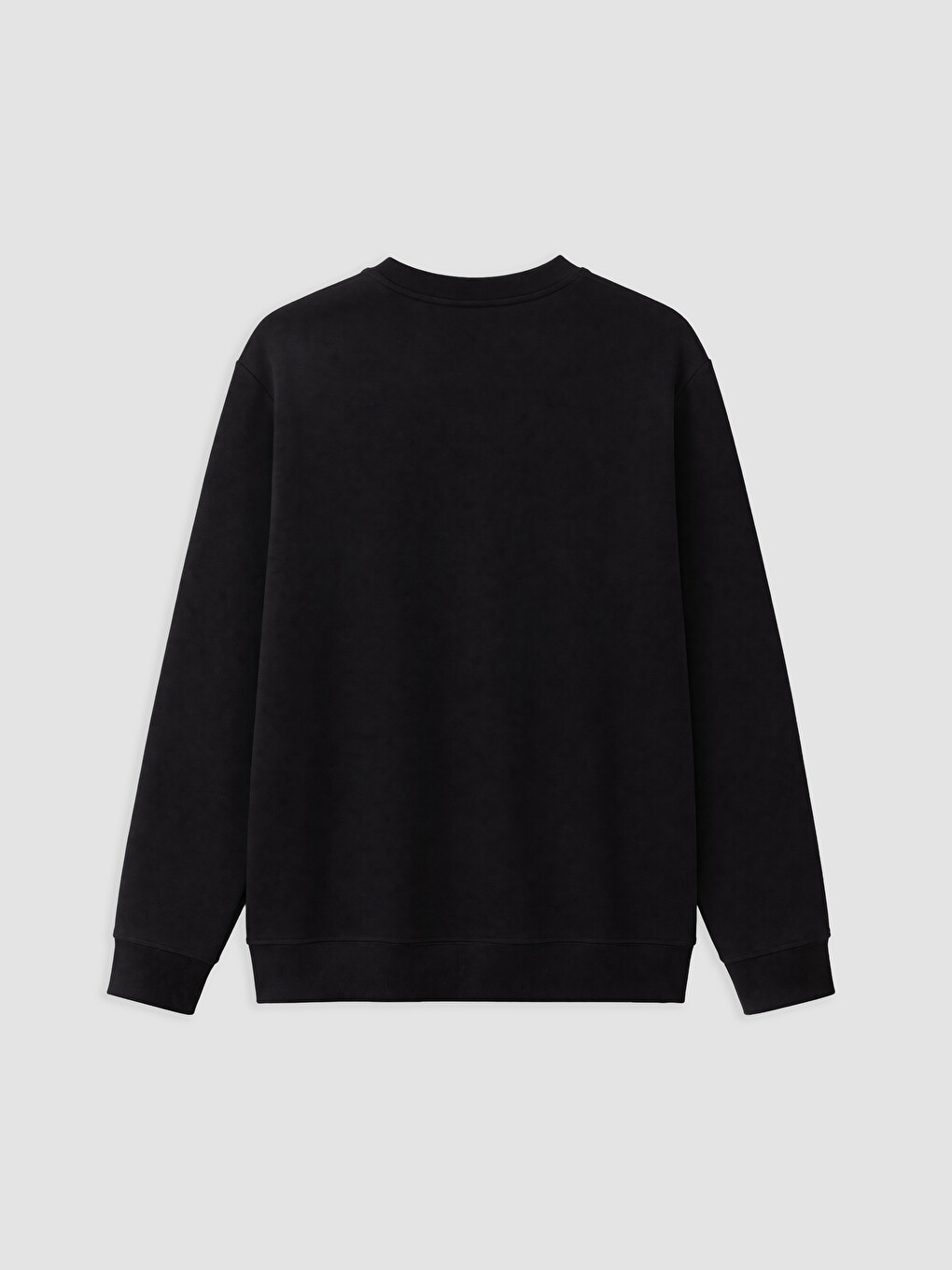 Crew Neck Printed Men's Sweatshirt-1