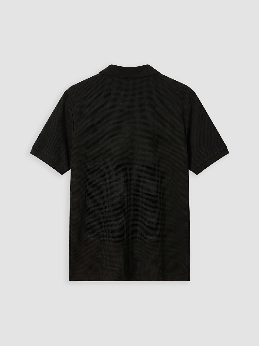 Siyah Polo Yaka Erkek Tişört-5