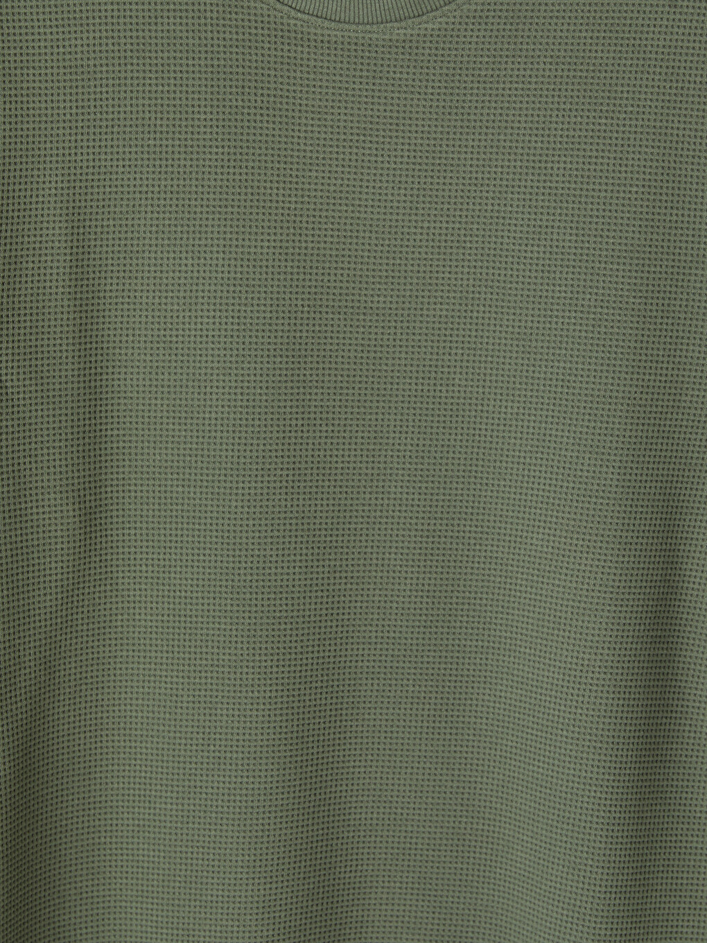 Man Green Sweatshirt-5