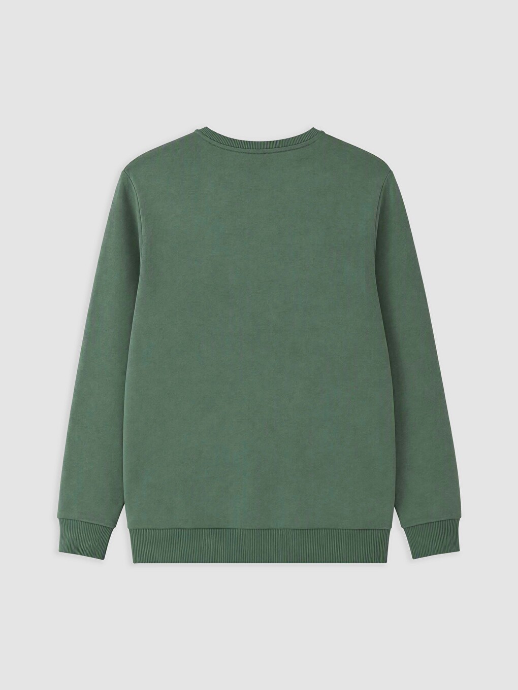 Crew Neck Printed Men's Sweatshirt-1