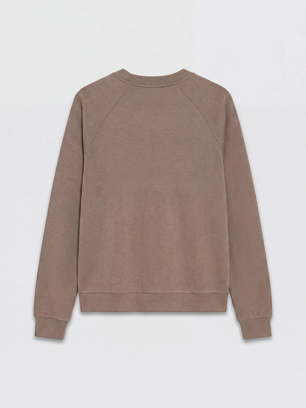 Crew Neck Raglan Sleeve Women's Sweatshirt-5