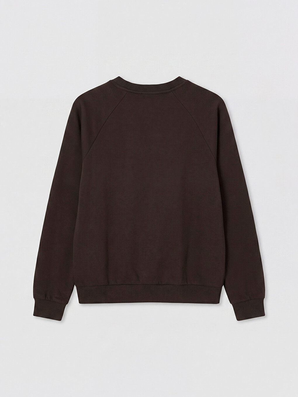 Crew Neck Raglan Sleeve Women's Sweatshirt-5