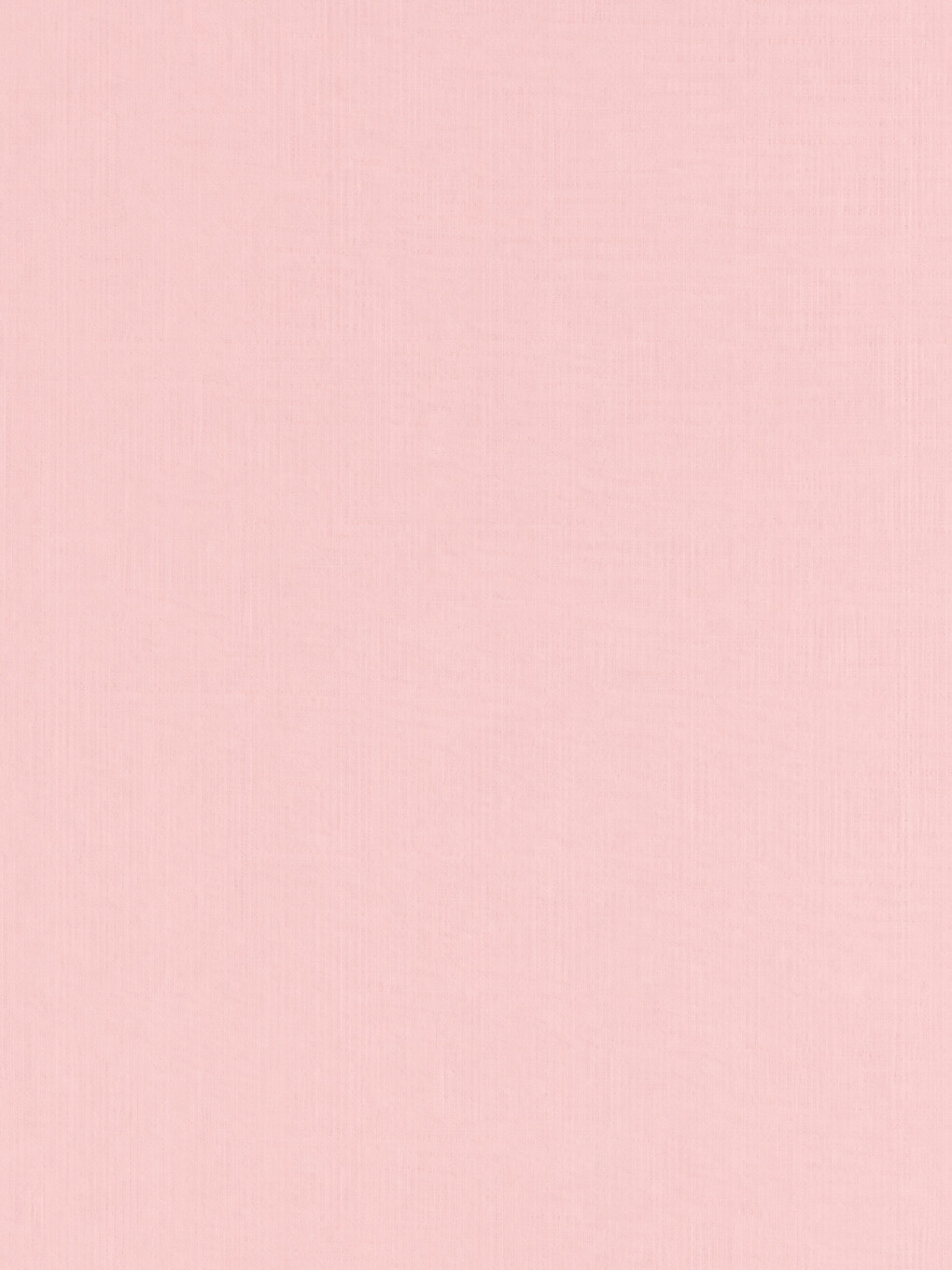 Roze Fletë E Vetme-1
