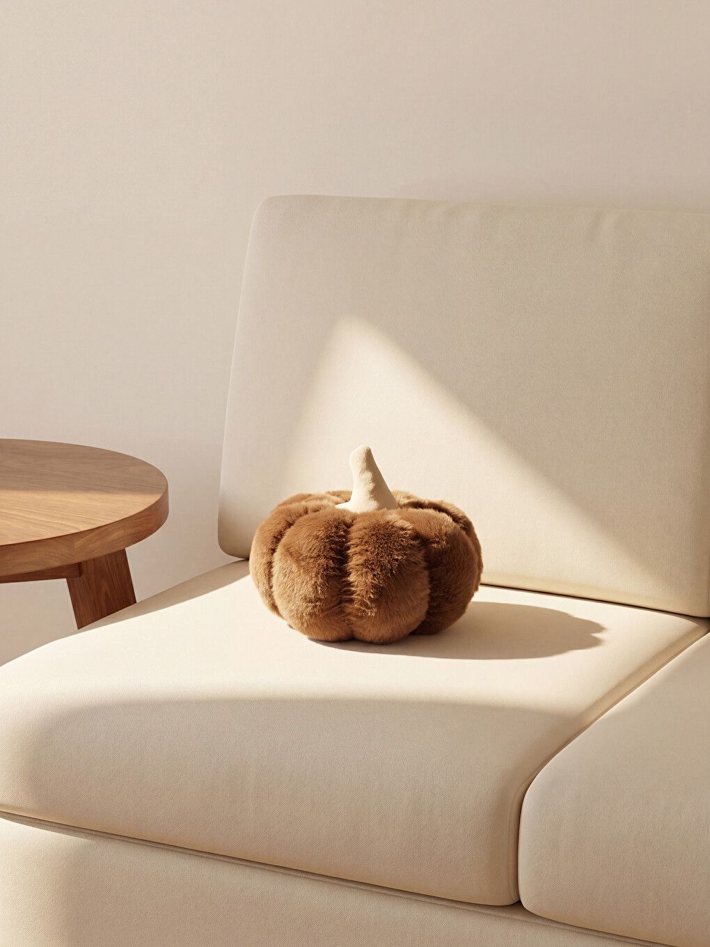 Brown Decorative Cushion