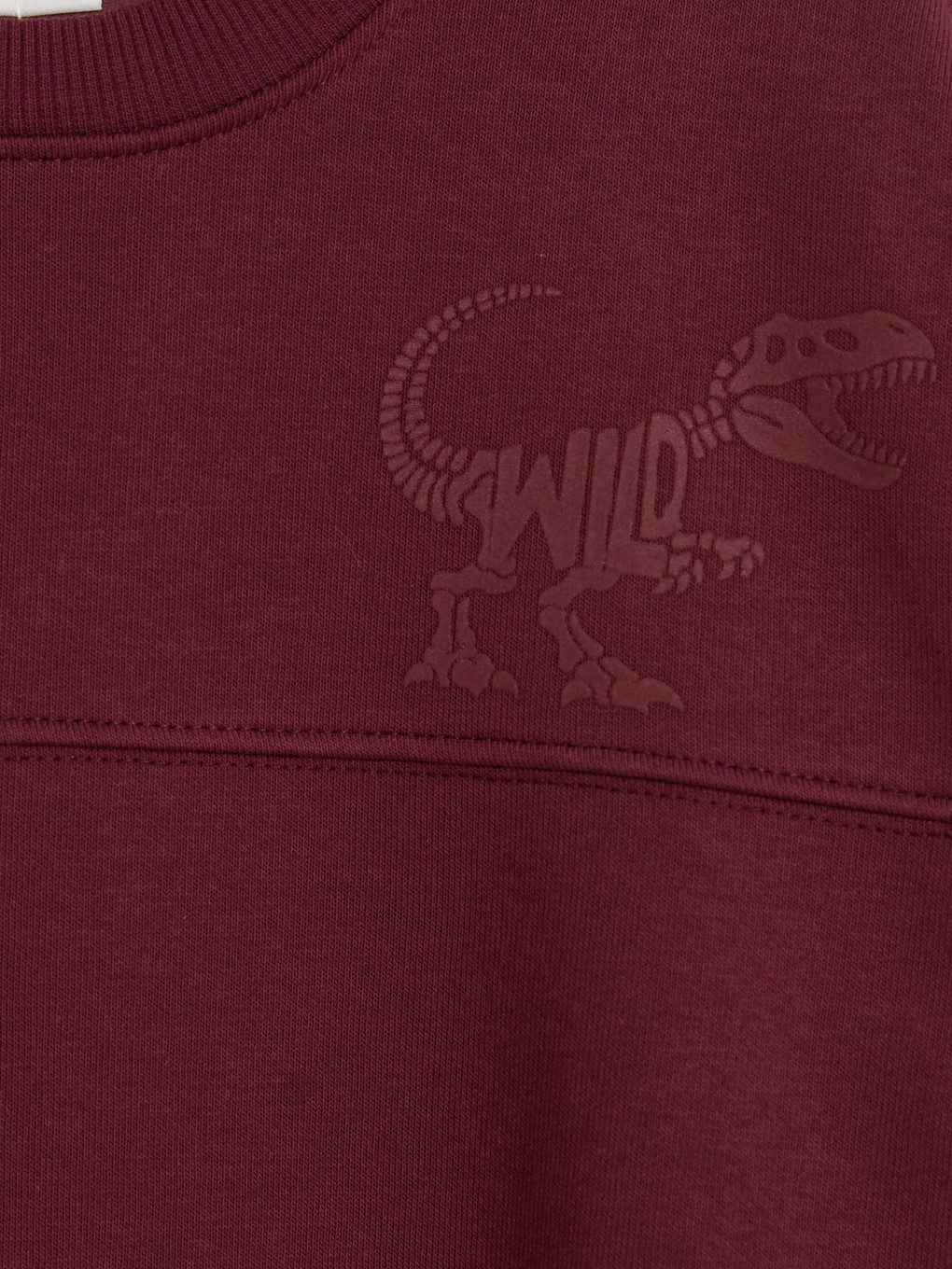 Dinosaur Printed Boys' Tracksuit Set-4
