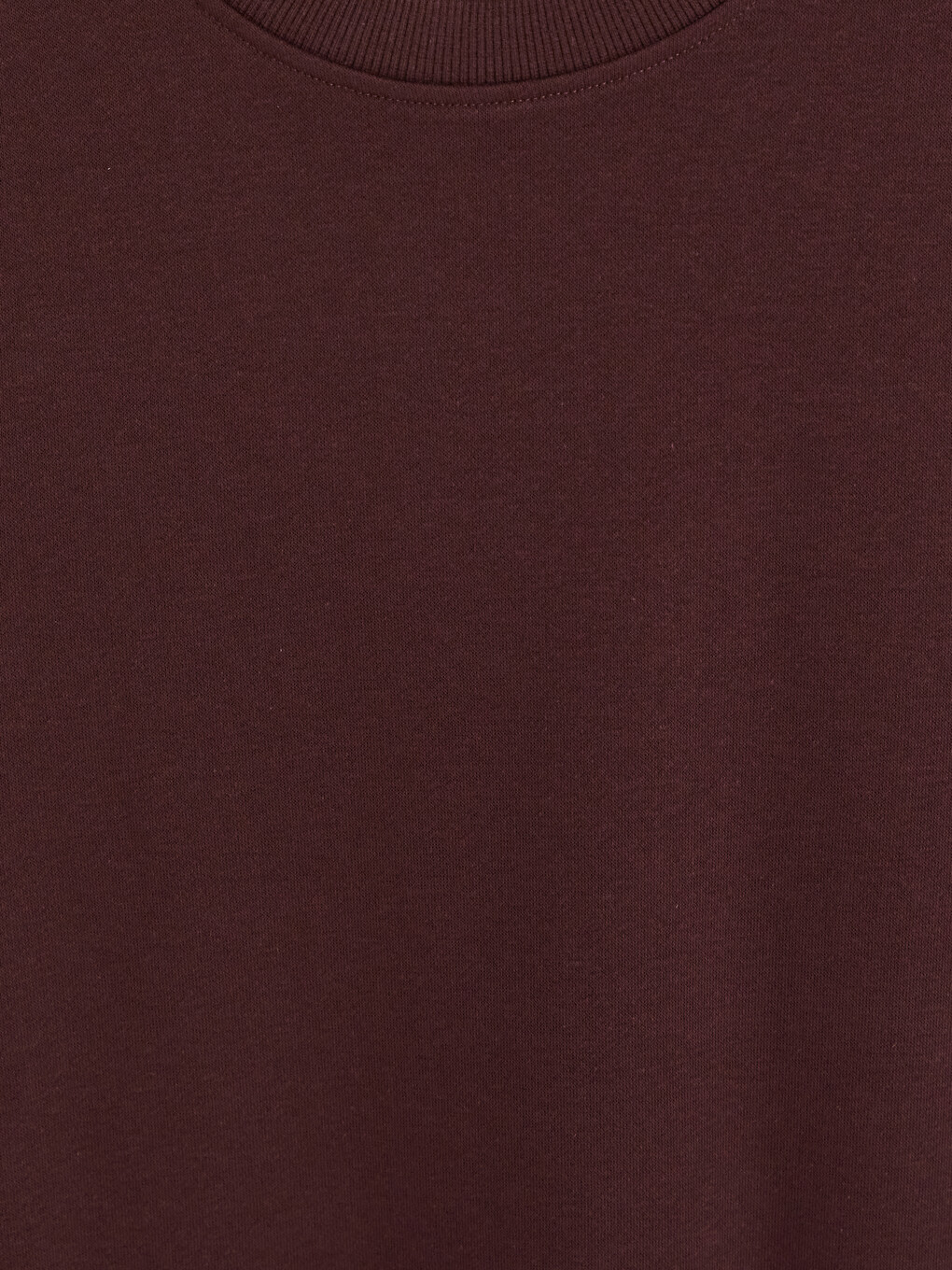 Mürdüm Bisiklet Yaka Erkek Kalın Sweatshirt-6