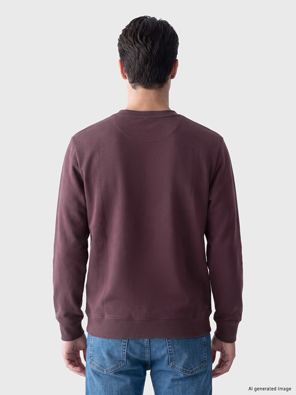 Mürdüm Bisiklet Yaka Erkek Kalın Sweatshirt-2