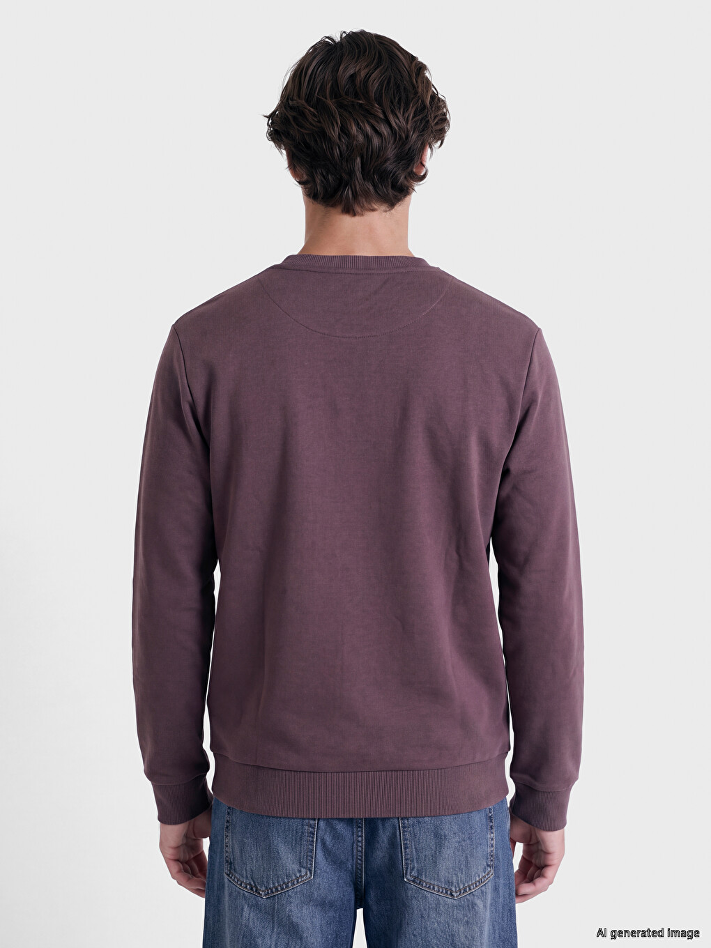 Mürdüm Bisiklet Yaka Erkek Kalın Sweatshirt-4