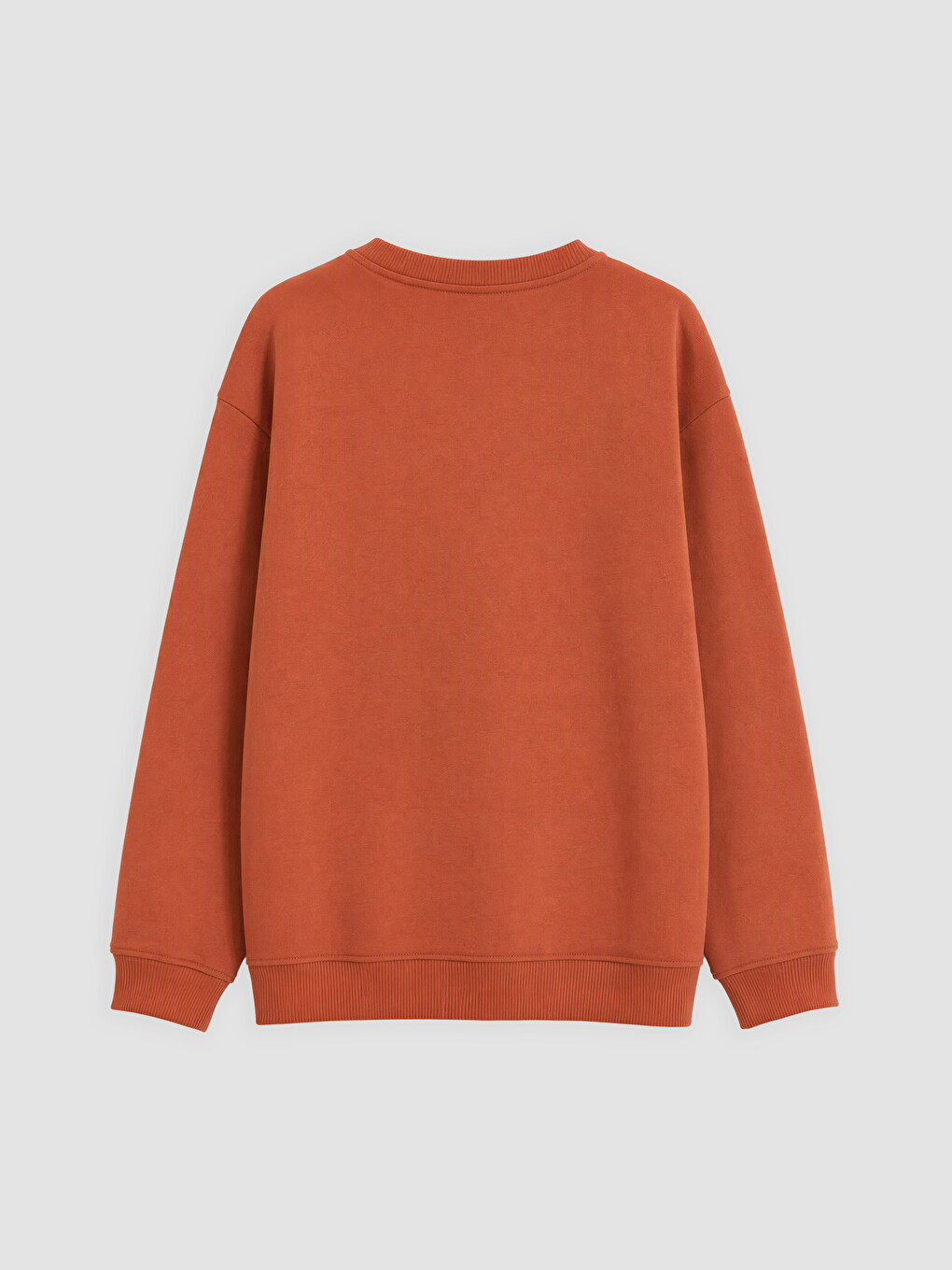 Kahverengi Bisiklet Yaka Erkek Çocuk Kalın Sweatshirt-1