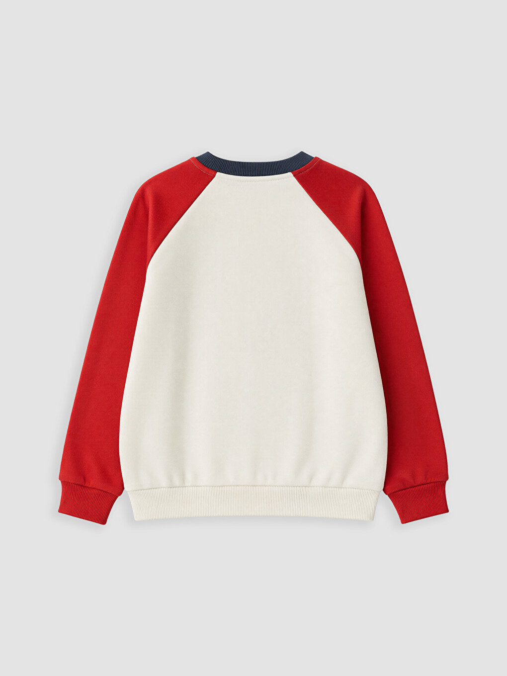 Bej Bisiklet Yaka Renk Bloğu Erkek Çocuk Kalın Sweatshirt-2