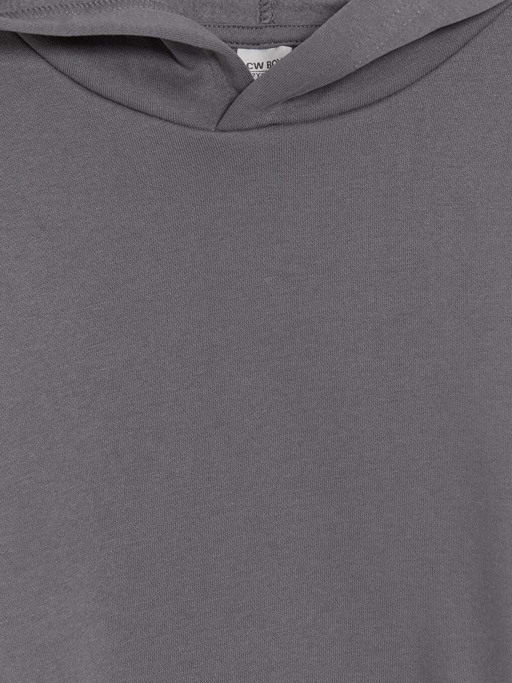 Djalë Gri Sweatshirt-1