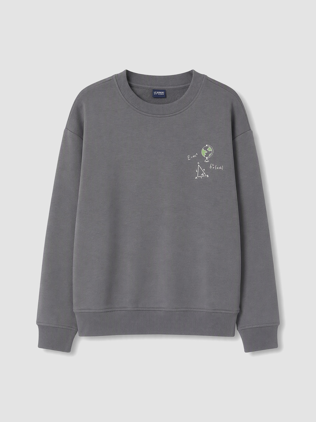 Gri Bisiklet Yaka Erkek Çocuk Sweatshirt