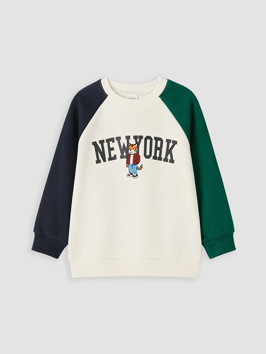 Boy Beige Sweatshirt