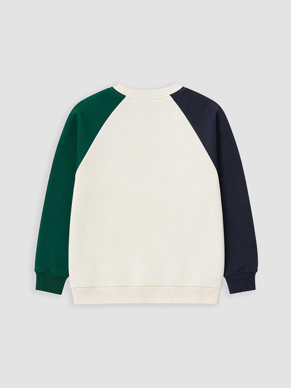 Boy Beige Sweatshirt-2