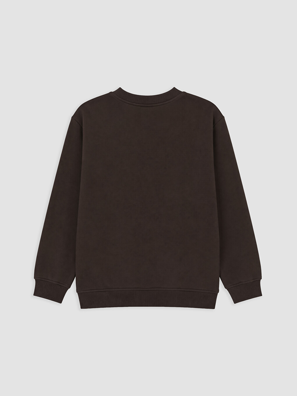 Crew Neck Boys' Thick Sweatshirt-1