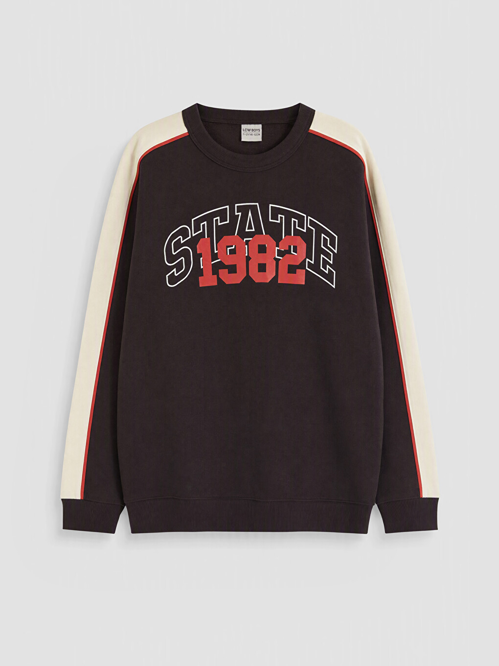 Printed Boys' Sweatshirt