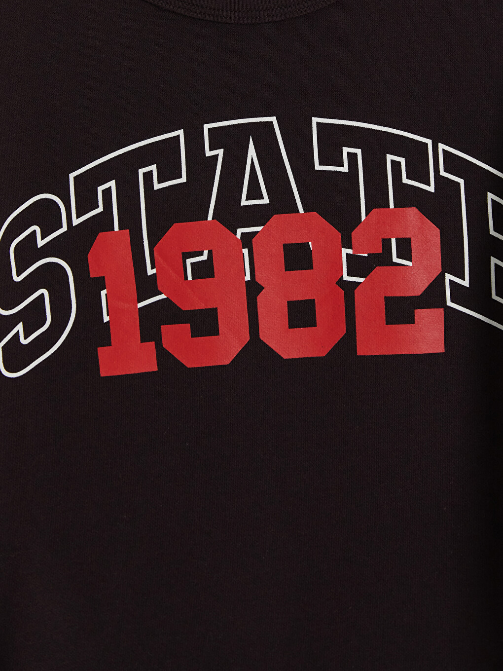 Printed Boys' Sweatshirt-2