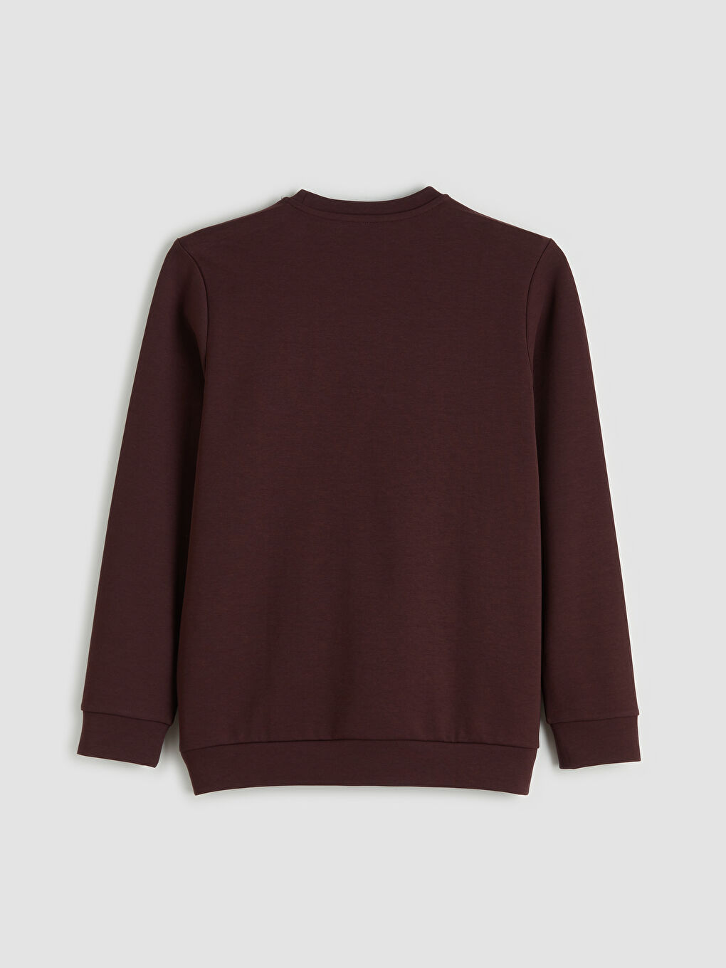 Mürdüm Bisiklet Yaka Baskılı Erkek Sweatshirt-5