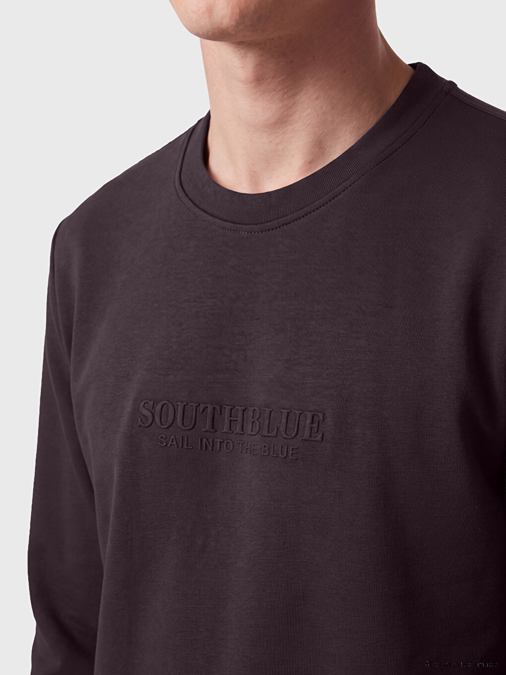 Mürdüm Bisiklet Yaka Erkek Sweatshirt-2