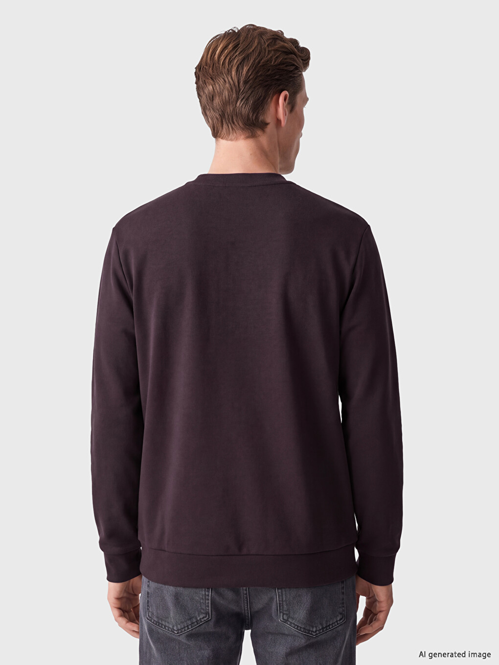 Mürdüm Bisiklet Yaka Erkek Sweatshirt-3