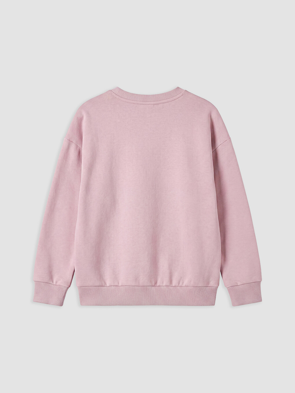 Crew Neck Printed Girls' Thick Sweatshirt 2 Pack-2