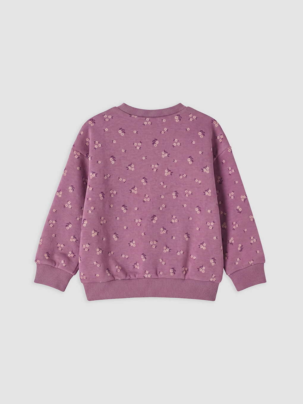 Crew Neck Printed Girls' Thick Sweatshirt 2 Pack-4