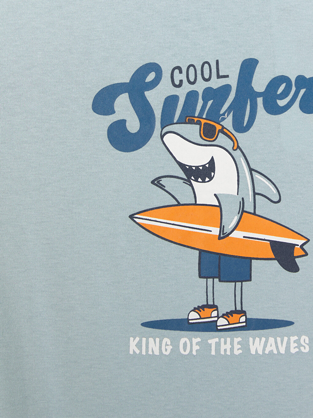 Crew Neck Printed Boys' T-shirt-1