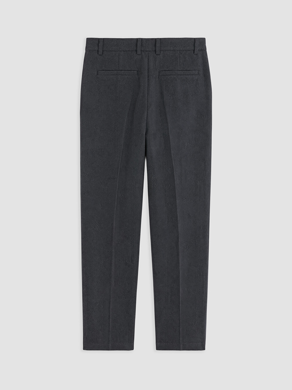 Standard Fit Men's Textured Pleated Trousers-5