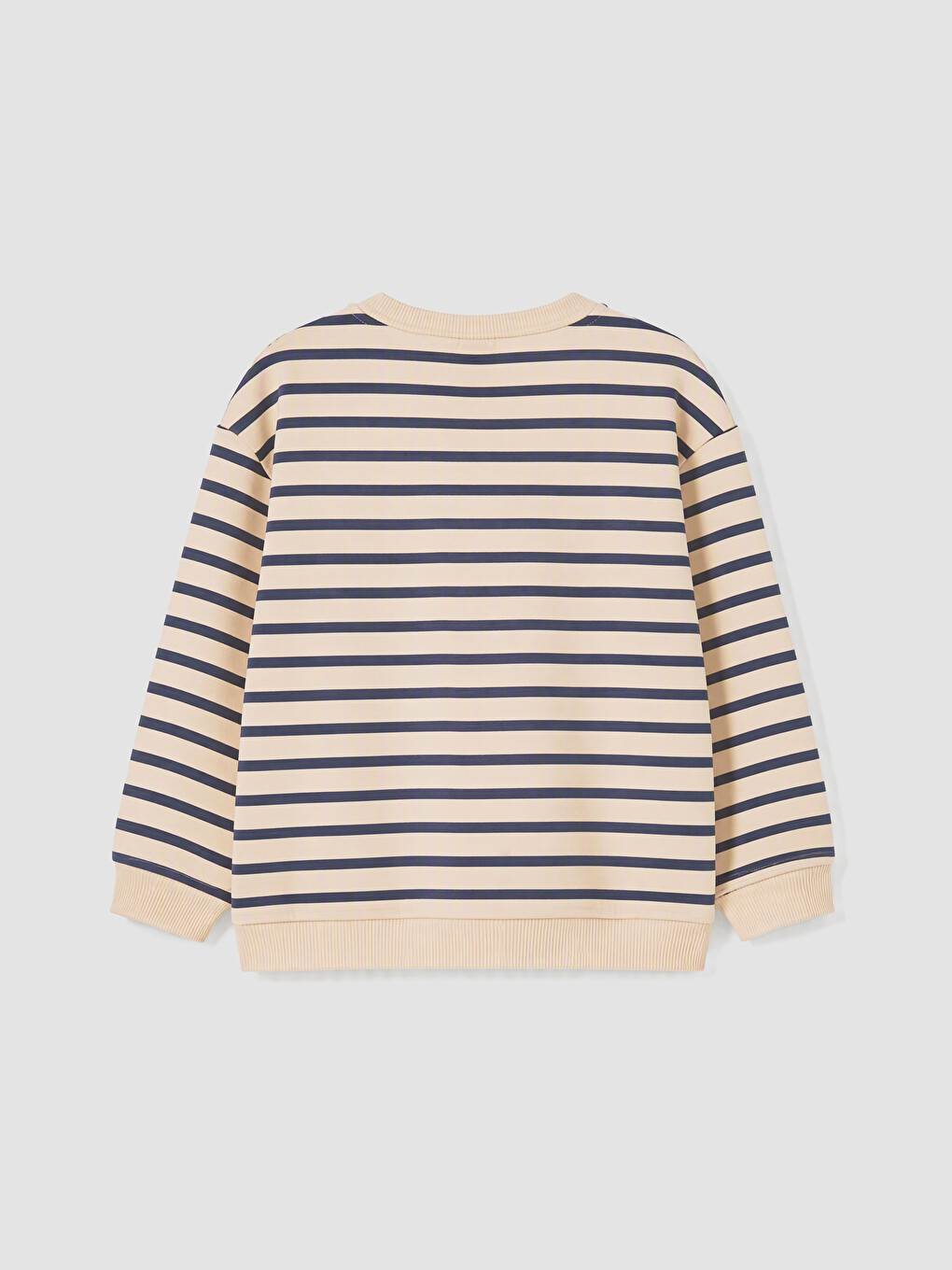 Striped Baby Boys' Sweatshirt And Sweatpants-4