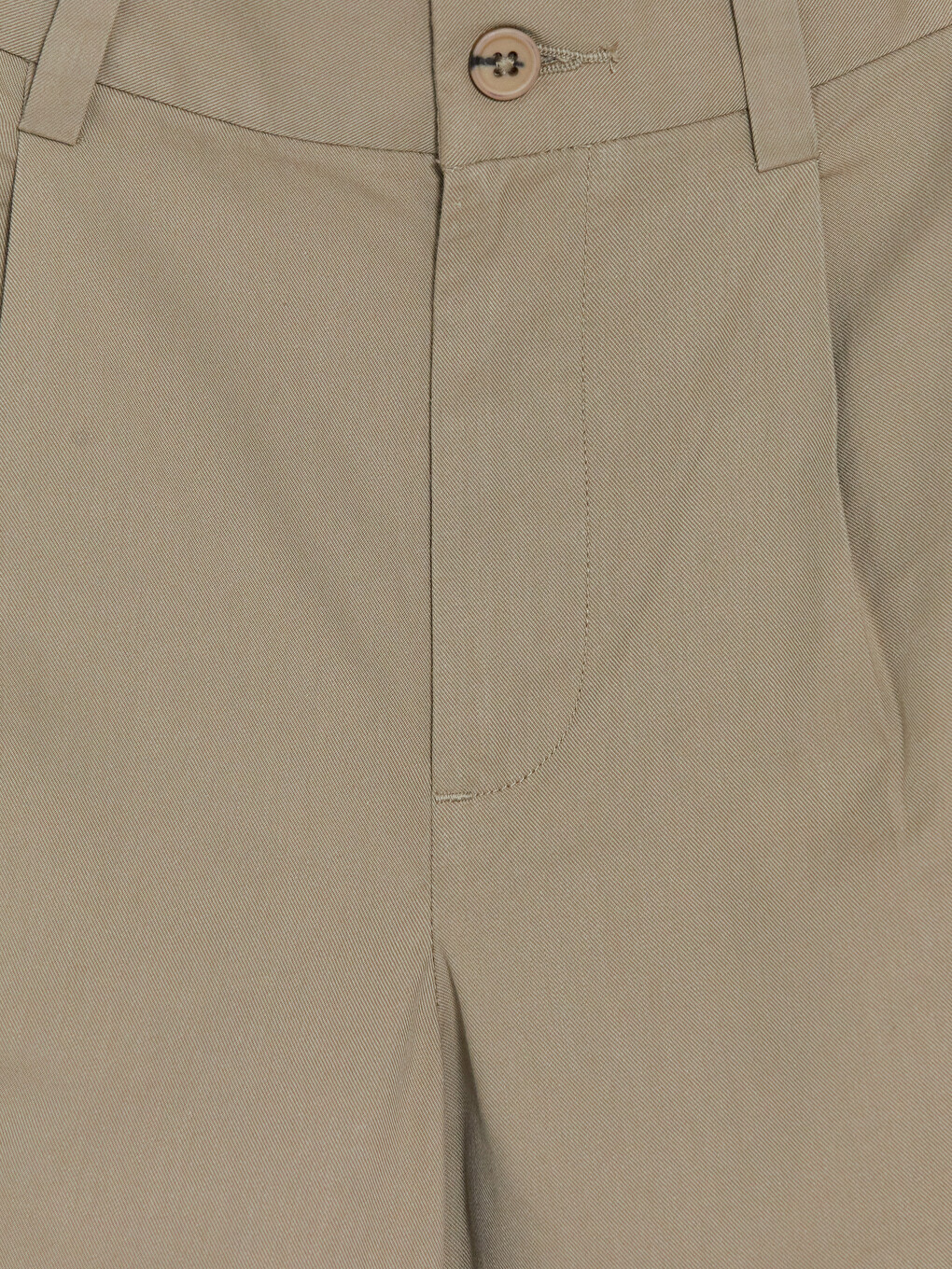 Regular Fit Men's Pleated Trousers-5
