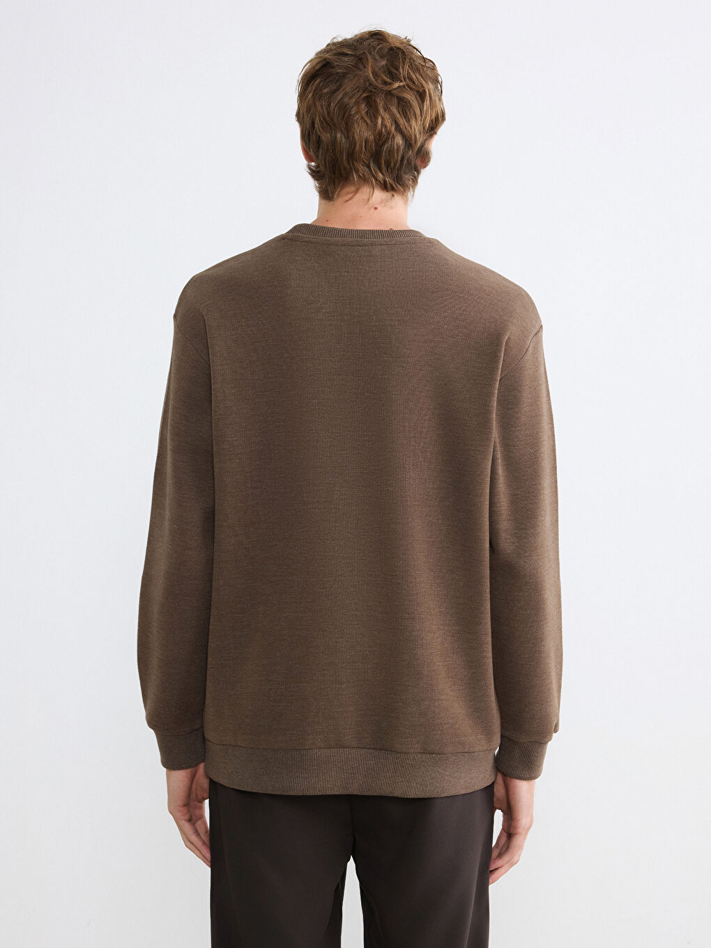 Kahverengi Regular Fit Bisiklet Yaka Erkek Triko Sweatshirt-3