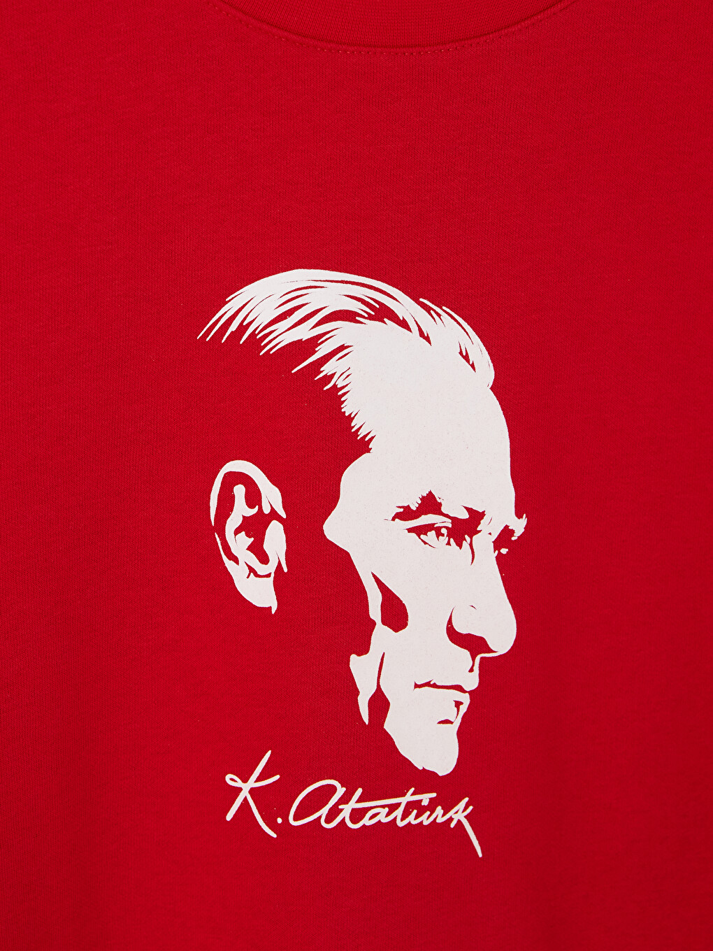 Crew Neck Atatürk Printed Men's Sweatshirt-2