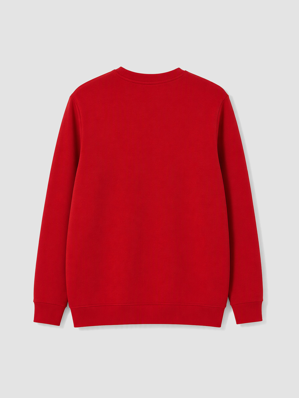 Crew Neck Atatürk Printed Men's Sweatshirt-3