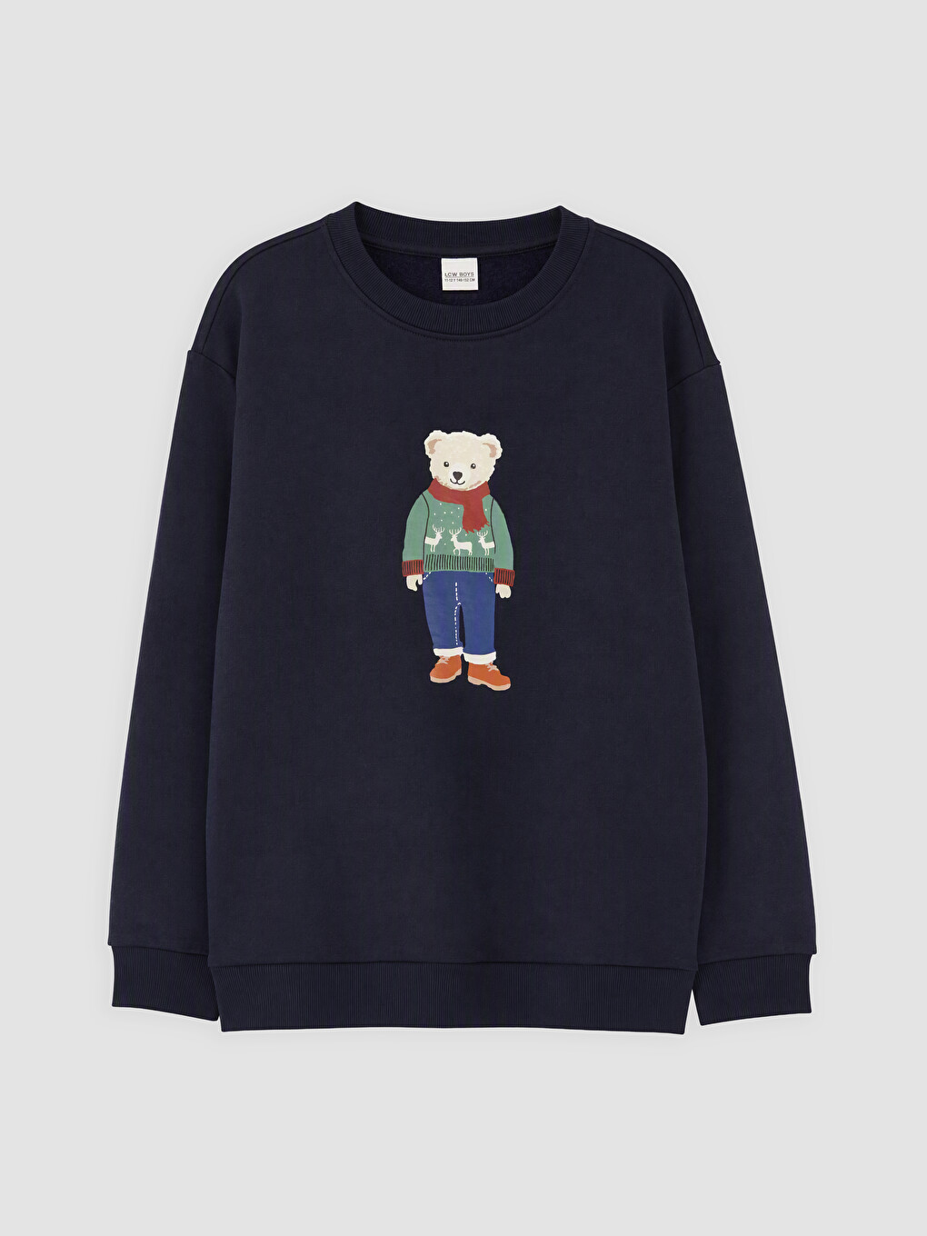 Bear Teddy Printed Boys' Thick Sweatshirt