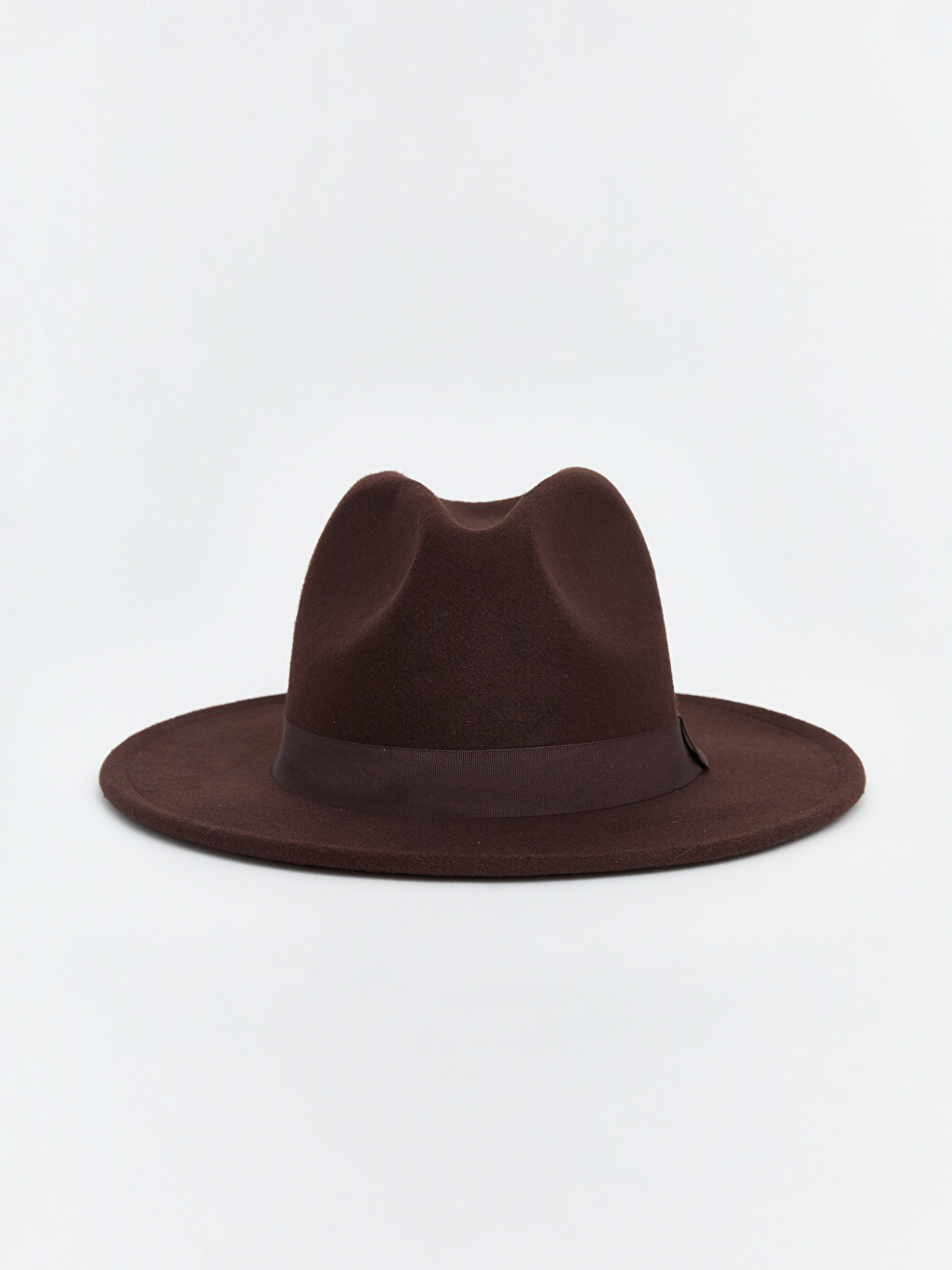 Woman Brown Fedora Hat