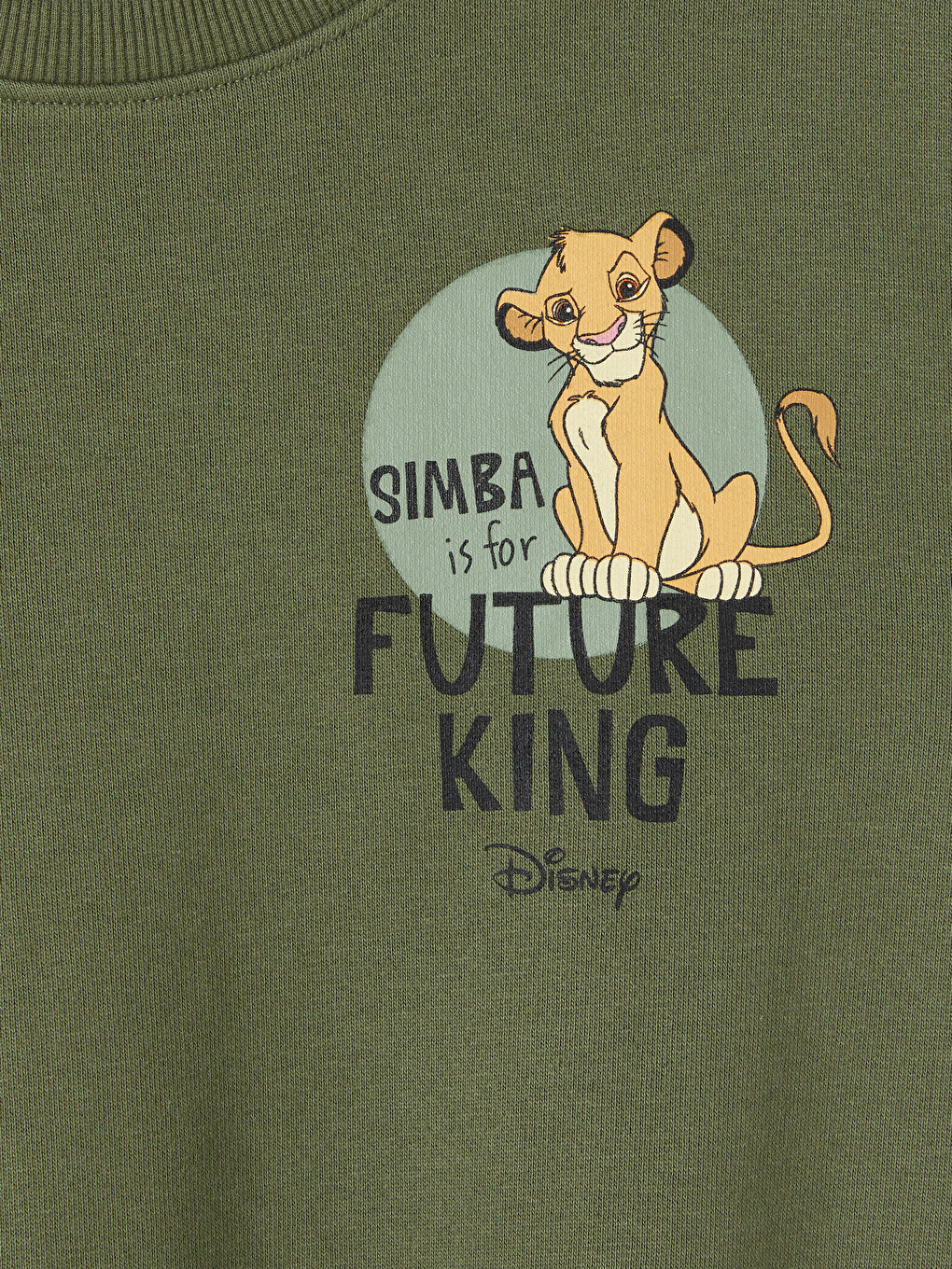 Lion King Printed Boys' 2 Pack Set-5