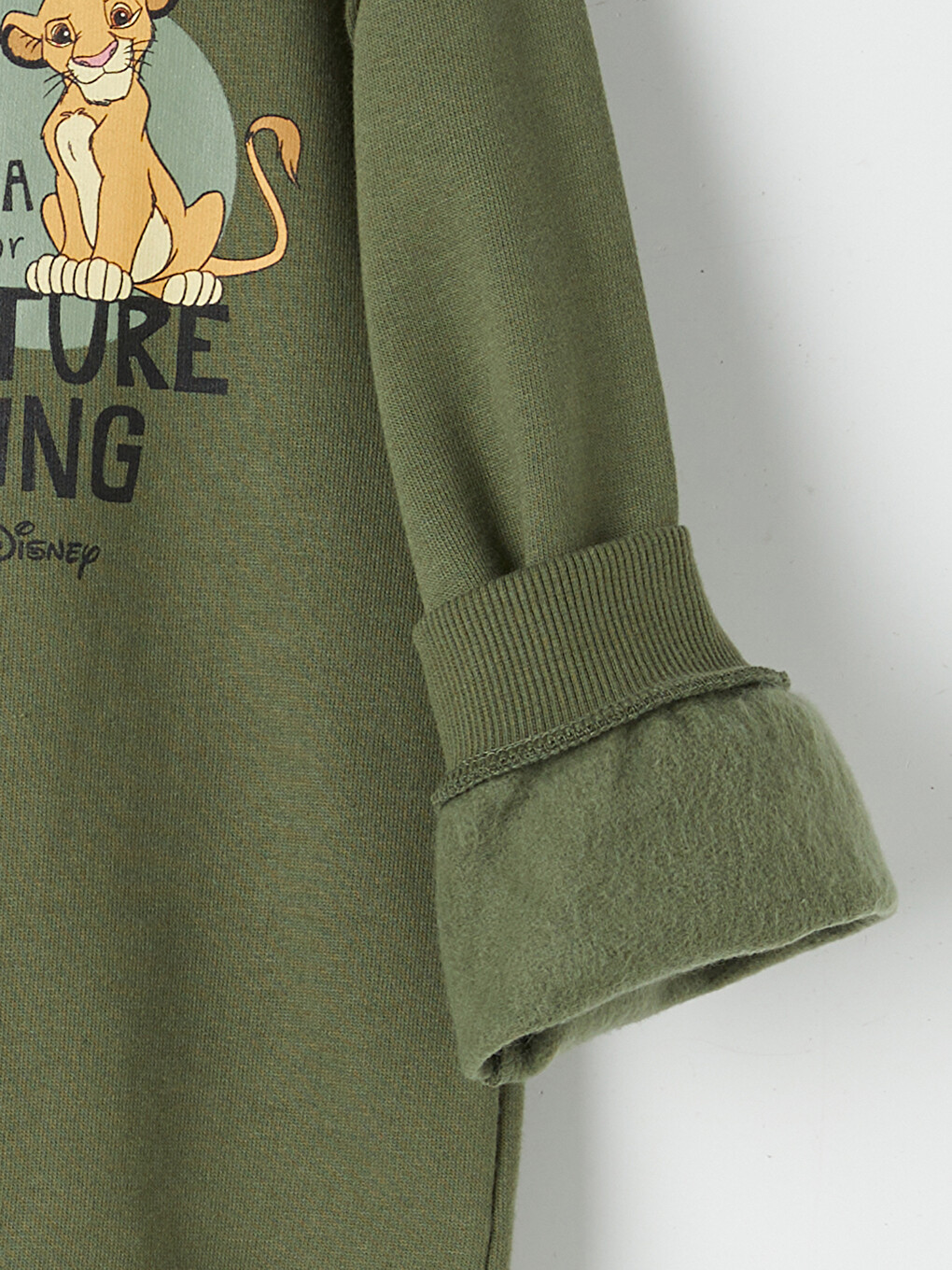 Lion King Printed Boys' 2 Pack Set-6