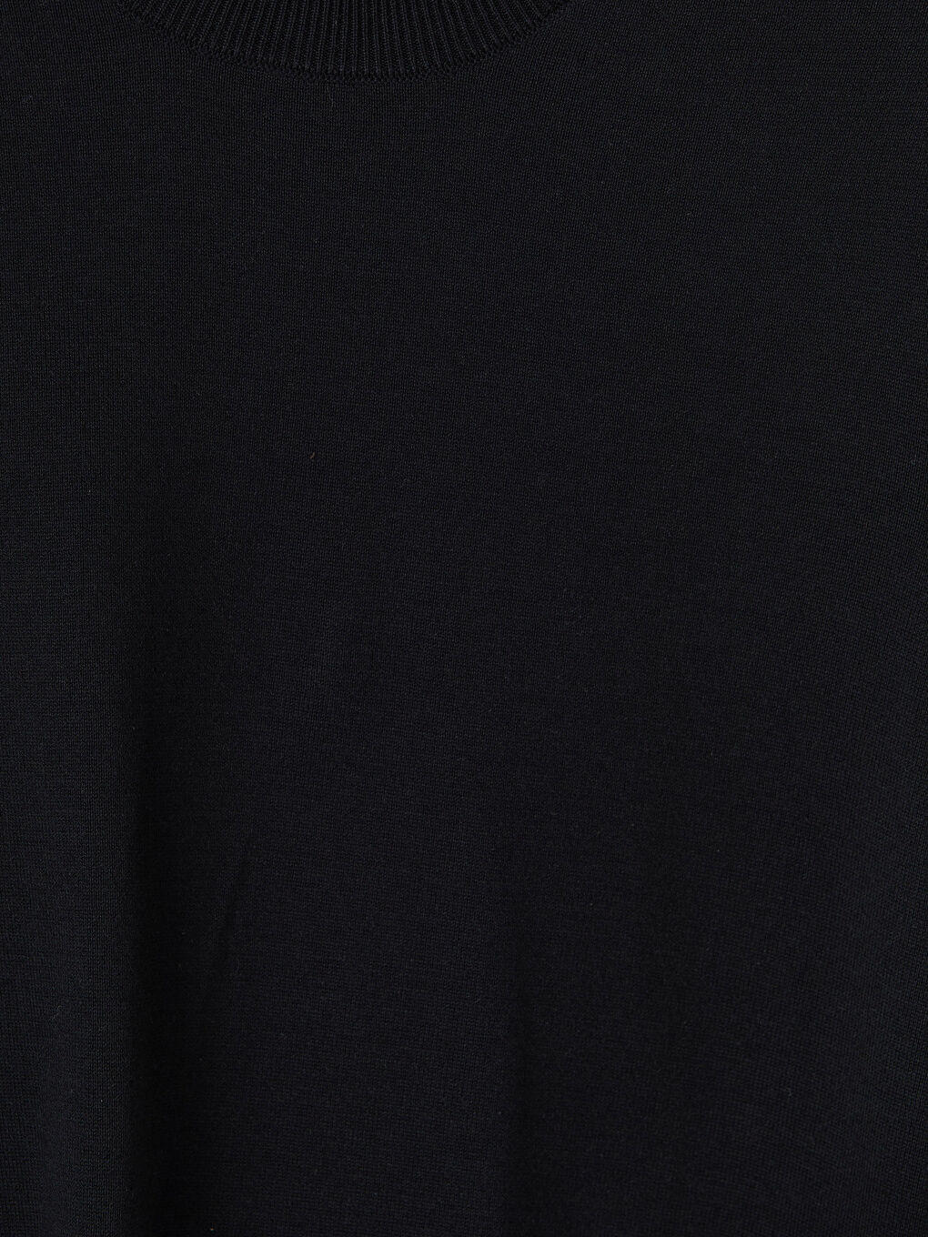 Siyah Bisiklet Yaka Regular Fit Erkek Triko Kazak-2