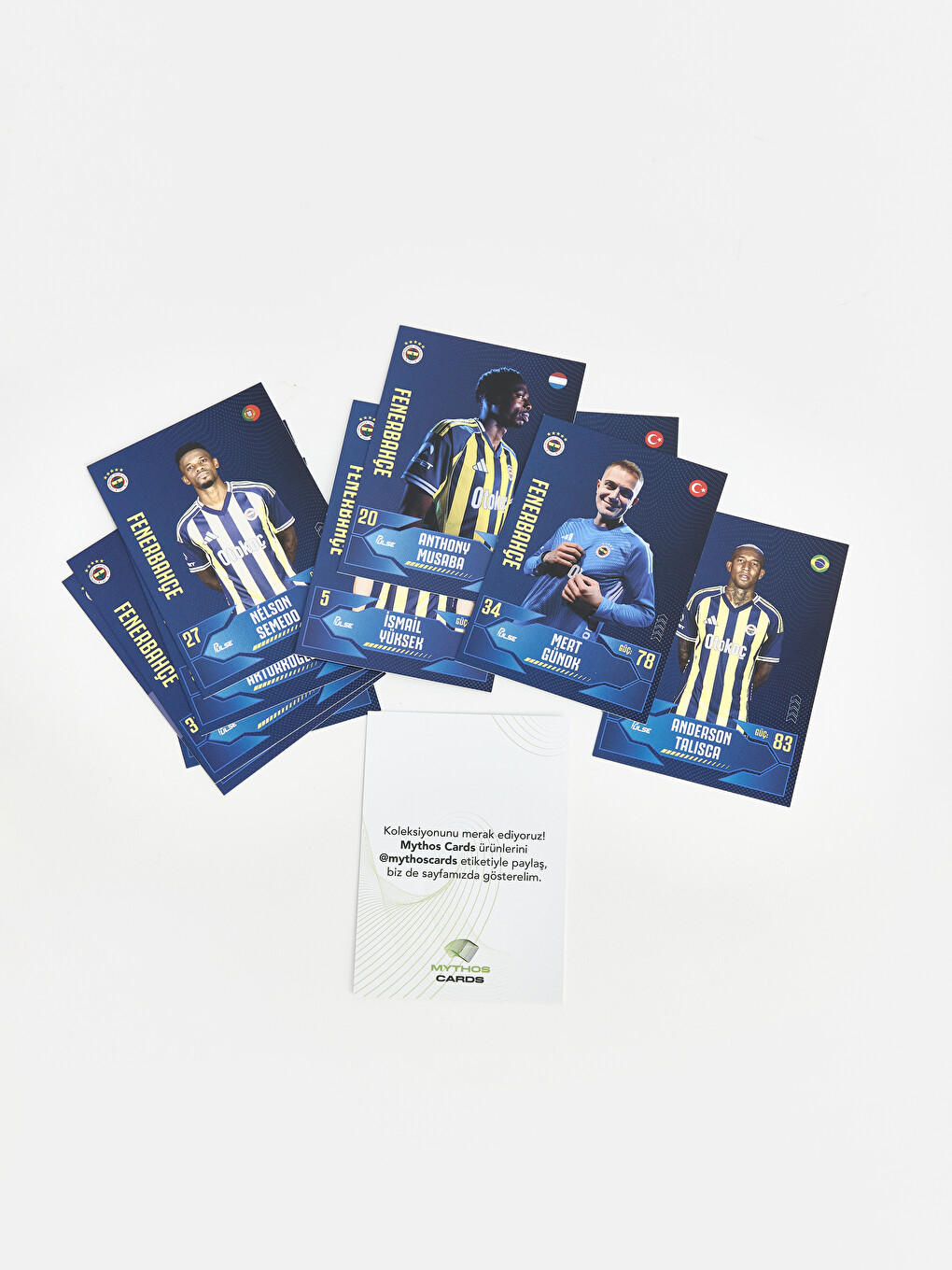 Fenerbahçe Baskılı Oyuncu Kartları-1