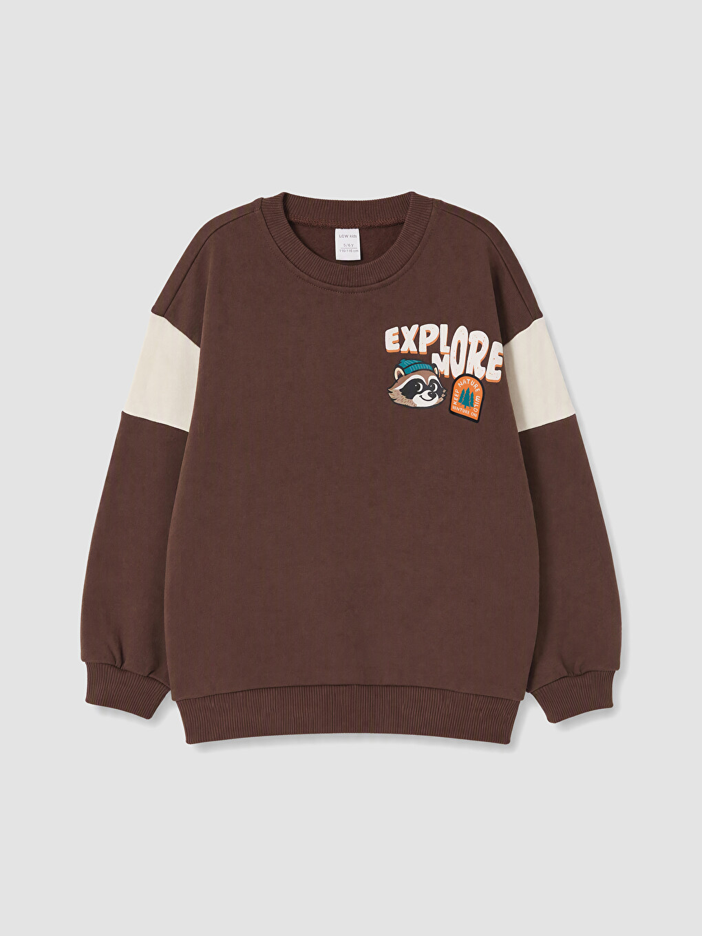 Boy Brown Sweatshirt
