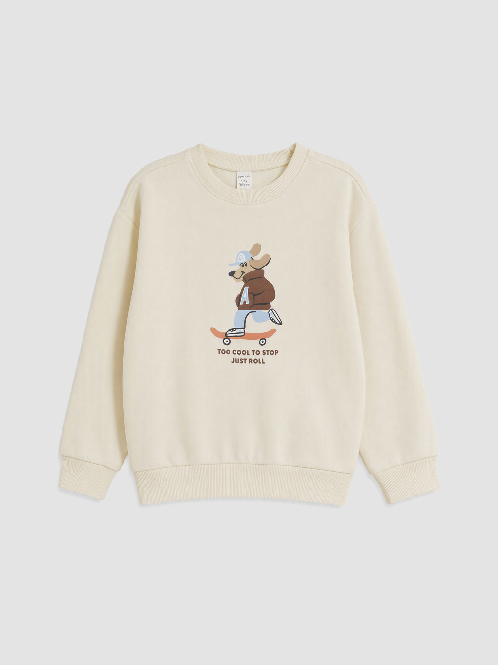 Printed Boys' Thick Sweatshirt