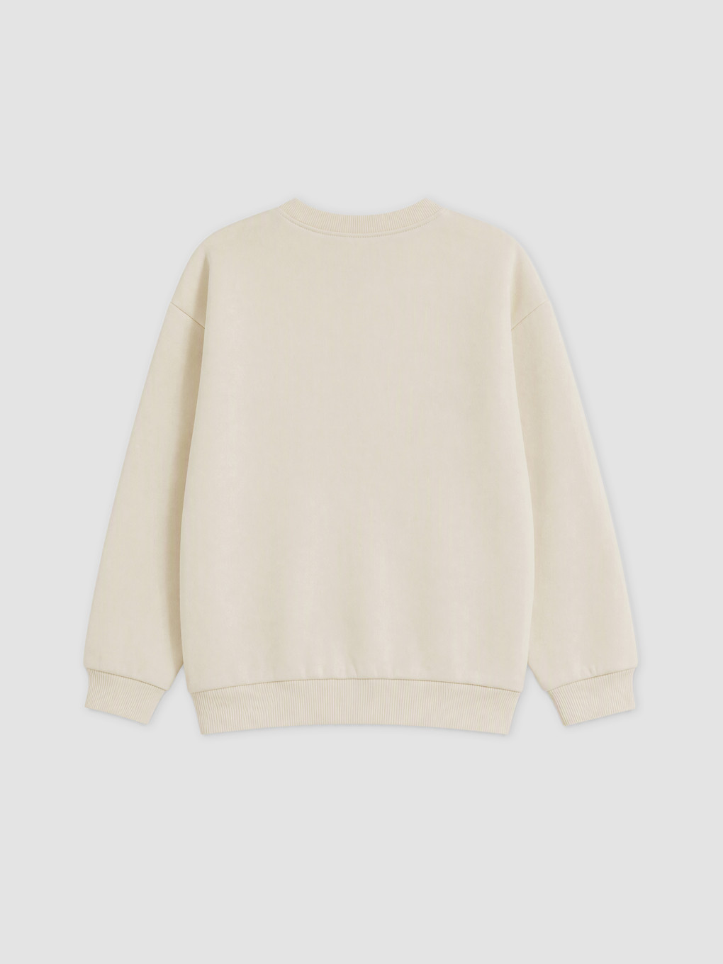Printed Boys' Thick Sweatshirt-3